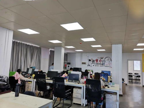 市市場監管局江城分局強化電子商務技術服務監管，護航線上經營秩序