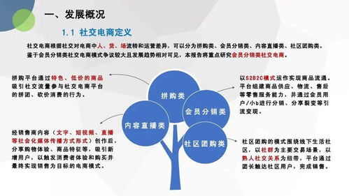 《電子商務(wù)技術(shù)服務(wù)合規(guī)啟示 基于中國社交電商合規(guī)研究報告的分析》